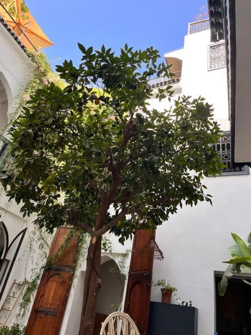 Riad Dar Fannan En Exclusivite Марракеш Экстерьер фото
